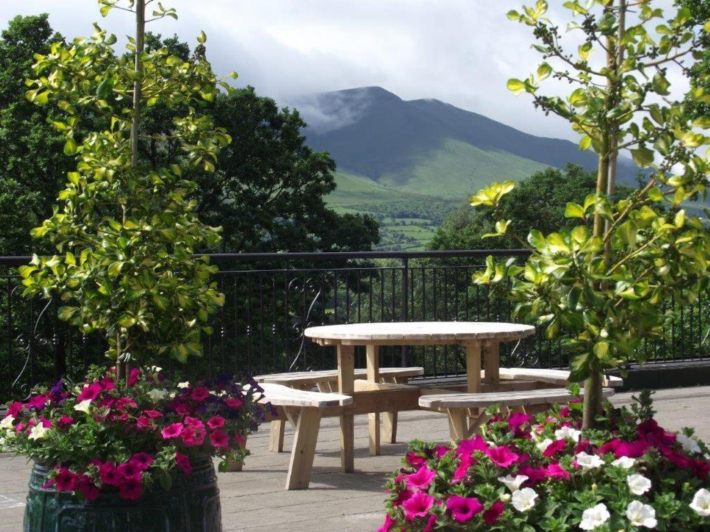 Aherlow House Hotel & Lodges Luaran gambar
